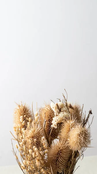 Decorative dry flowers bouquet with white copy space behind