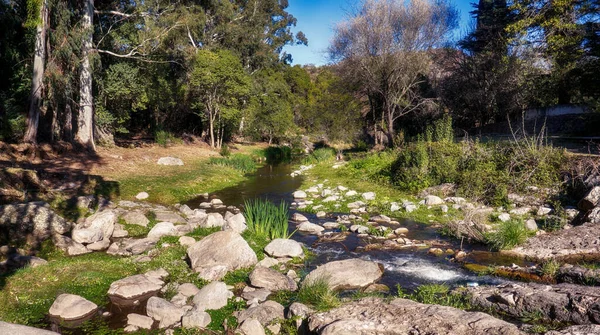 Στενό Ρυάκι Γλυκού Νερού Διέρχεται Από Ένα Πολύχρωμο Δάσος Στη — Φωτογραφία Αρχείου