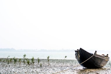 Kirli bir sahilde çapanın yakın çekimi