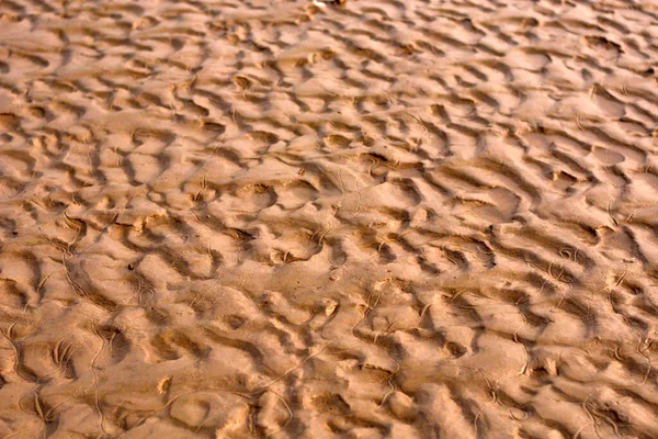 Κύματα Άμμου Μια Άδεια Παραλία — Φωτογραφία Αρχείου
