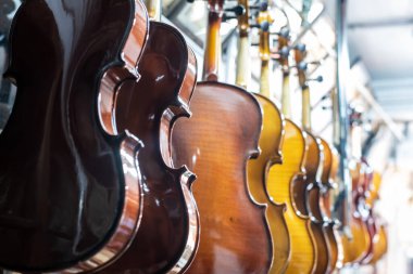 Satmak için perakende mağazasında kemanlar asılı.