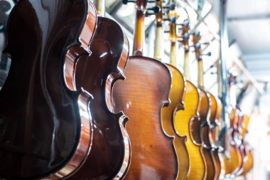 Satmak için perakende mağazasında kemanlar asılı.