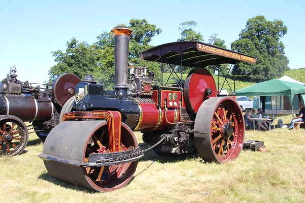 Sussex July 2022 Traction Steam Engine One Many Display Steam — 图库照片