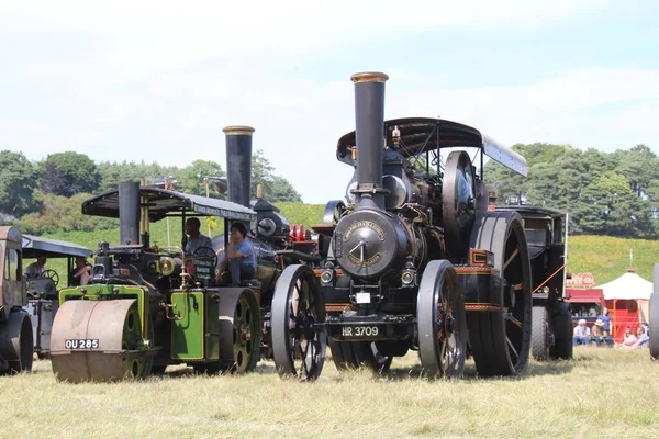Sussex July 2022 Traction Steam Engine One Many Display Steam — 图库照片