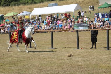 Waterlooville, İngiltere - 14 Ağustos 2022: Bir grup yetenekli at binicisi Hampshire 'daki bir gösteride ortaçağ mızrak dövüşü turnuvasını canlandırıyor..