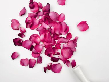 Düşen vazodan gül yaprakları dökülmüş, Sevgililer Günü kartı kırpma yolu izole edilmiş beyaz arka plan 