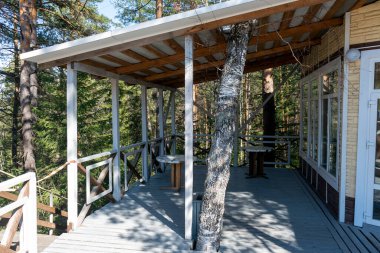 Ormanın çatısının altındaki açık havada bir yazlık kafe..