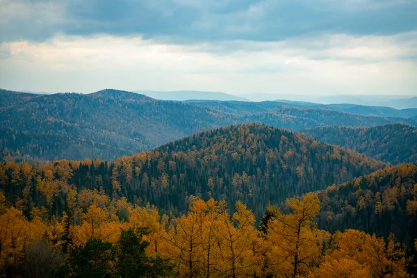 Panorama da floresta de outono contra o céu azul com nuvens. — Fotografia de Stock