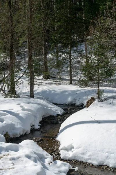 Rivière ouverte au début du printemps parmi les flots de neige. — Photo