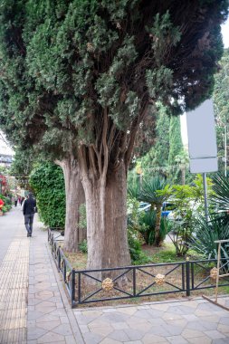 Şehrin kaldırımında kocaman haydutlar var..