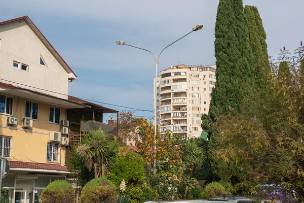 Tropikal ağaçların arkasındaki tatil köyünün binaları mavi gökyüzünün arka planına karşı..