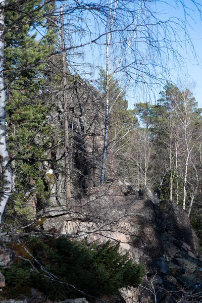 Bäume wachsen im Spätherbst auf Felsen. — Stockfoto