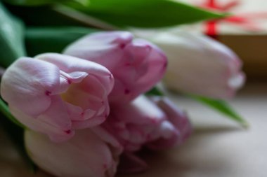 Masada bir buket pembe lale var. Yakın plan.. 