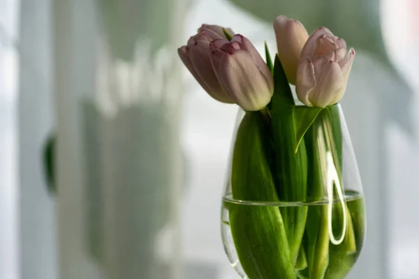 Bouquet of pink tulips in glass vase on wooden table near the window — Stock Photo, Image