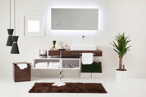 Estilo Baño Limpio Diseño Decorativo Interior Gabinetes Madera — Foto de Stock