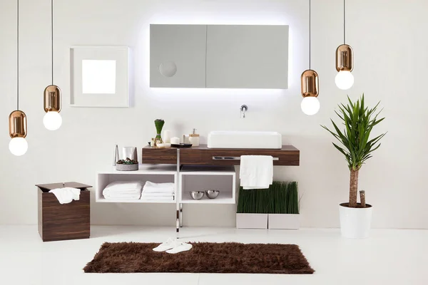 Clean Bathroom Style Interior Decorative Design Wooden Cabinets — Stock Photo, Image