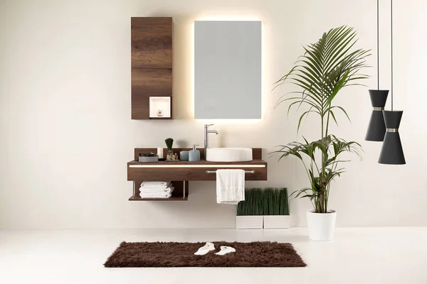 Temiz banyo stili, dekoratif tasarım, ahşap dolaplar.