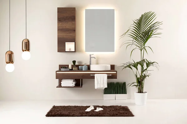 Temiz banyo stili, dekoratif tasarım, ahşap dolaplar.