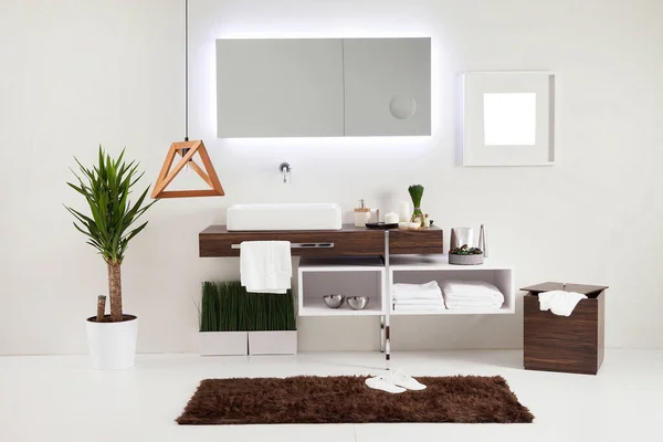 Estilo Baño Limpio Diseño Decorativo Interior Gabinetes Madera — Foto de Stock