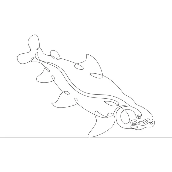 一条连续直线 游鲑鱼 一条连续的线条标识孤立的极小的插图 — 图库照片