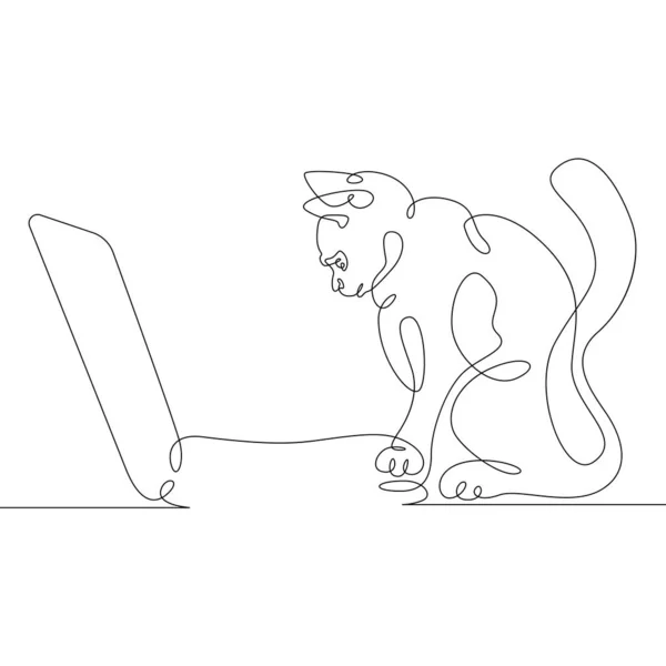 Cat Met Een Desktop Computer Een Laptop Met Een Pet — Stockfoto