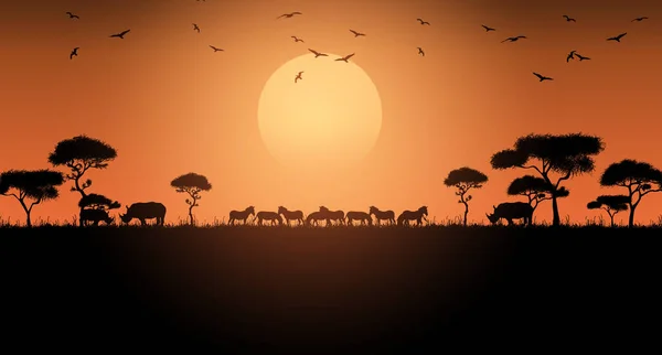 Dieren Savanne Landschap Afrika Zonsondergang Safari Vectorillustratie — Stockvector