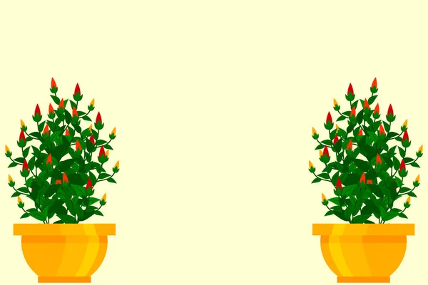 Plantas Maceta Jardín Interior Exterior Aisladas Blanco Conjunto Vectores Planta — Vector de stock