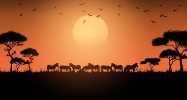 Günbatımında Afrika savanası hayvanları. Afrika savanındaki vahşi hayvanların siluetleri.
