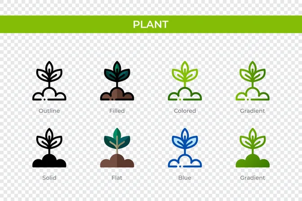Plant Icon Different Style Plant Vector Icons Designed Outline Solid — Stockvektor