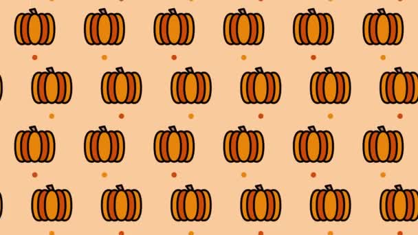 Pattern Background Pumpkins Pumpkins Vegetable Animation Cute Pattern Animation Pumpkins — Stock Video
