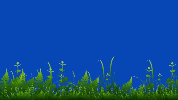 배경으로 제작되었다 잔디를 배경으로 애니메이션 자라고 바람에 흔들리는 비디오 애니메이션 — 비디오