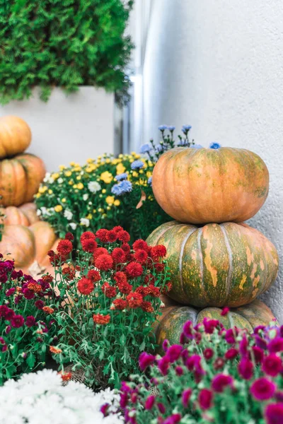 Une pile de citrouilles festives à la cour intérieure Images De Stock Libres De Droits