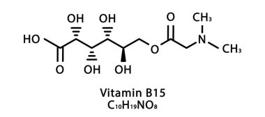 B15 vitamini pangamik asit moleküler yapısı. B15 vitamini pangamik asit iskelet kimyasal formülü. Kimyasal moleküler formüller