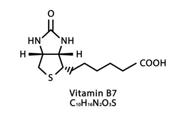 B7 vitamini moleküler yapısı. B7 vitamini iskelet kimyasal formülü. Kimyasal moleküler formüller