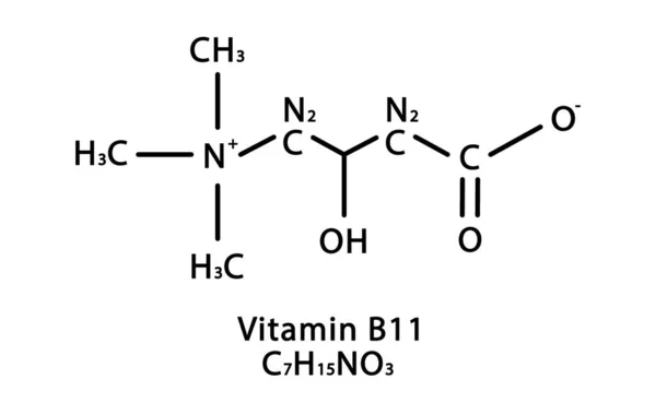 B11 vitamini L-carnitine moleküler yapısı. B11 vitamini L-carnitine iskelet kimyasal formülü. Kimyasal moleküler formüller — Stok Vektör