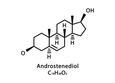 Androstenediol moleküler yapısı. Androstenediol iskelet kimyasal formülü. Kimyasal moleküler formül vektör çizimi