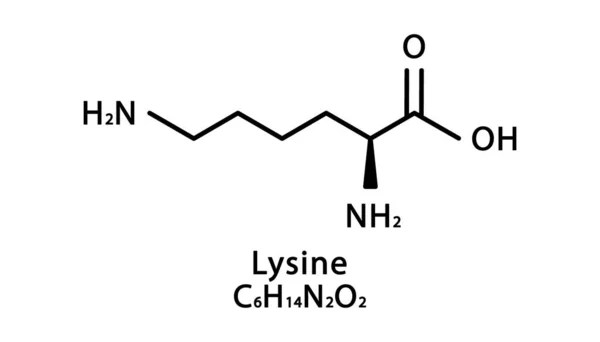 赖氨酸分子结构。赖氨酸骨骼化学配方。化学分子式矢量图解 — 图库矢量图片