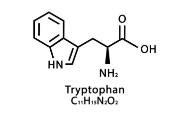 Tryptophan moleküler yapısı. Tryptophan iskelet kimyasal formülü. Kimyasal moleküler formül vektör çizimi