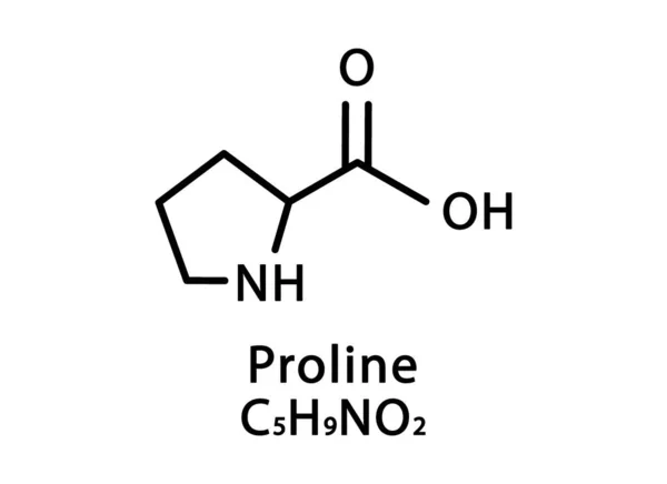 脯氨酸分子结构。脯氨酸骨骼化学配方。化学分子式矢量图解 — 图库矢量图片