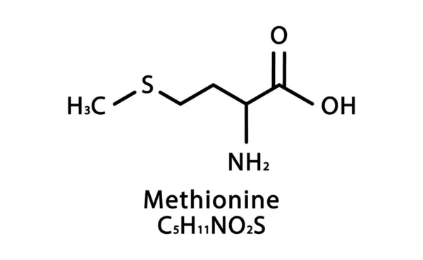甲硫氨酸分子结构。Methionine骨骼化学式。化学分子式矢量图解 — 图库矢量图片