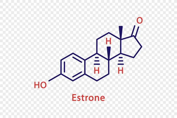 Estrone chemische formule. Estrone structuurchemische formule geïsoleerd op transparante achtergrond. — Stockvector