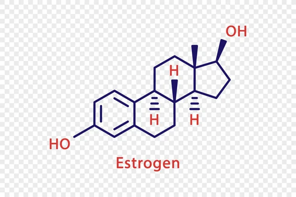 Oestrogeen chemische formule. Structurele chemische formule van oestrogenen geïsoleerd op transparante achtergrond. — Stockvector
