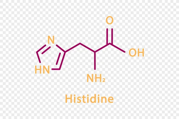 Histidine chemical formula. Histidine structural chemical formula isolated on transparent background. – Stock-vektor