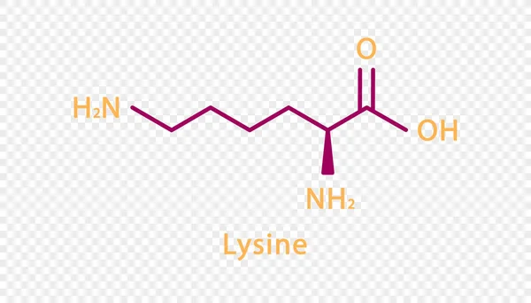Lysine chemical formula. Lysine structural chemical formula isolated on transparent background. – Stock-vektor