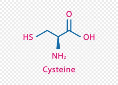 Sistemin kimyasal formülü. Saydam arkaplanda izole edilmiş sistein yapısal kimyasal formül.