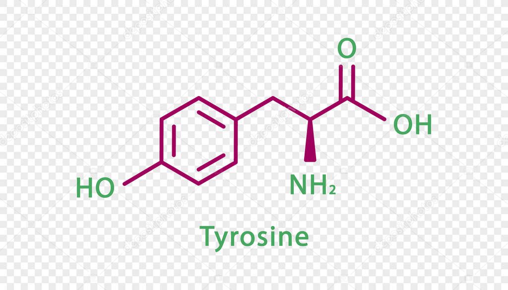 Tyrosine chemical formula. Tyrosine structural chemical formula isolated on transparent background.