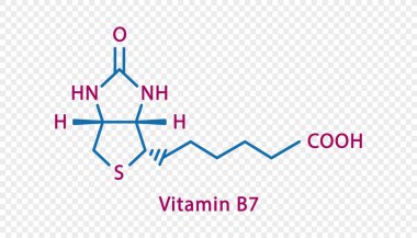 B7 vitamini kimyasal formülü. Şeffaf arkaplanda izole edilmiş B7 vitamini yapısal kimyasal formül.