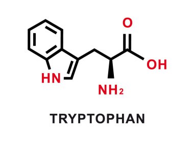 Tryptophan kimyasal formülü. Tryptophan kimyasal moleküler yapı taşıyıcı illüstrasyonu
