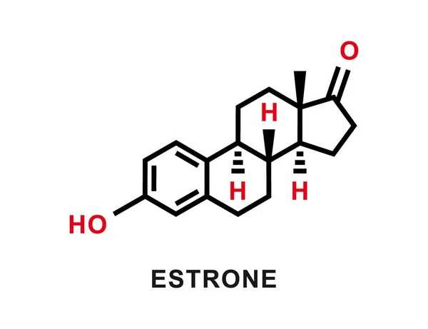 Estrone chemical formula. Estrone chemical molecular structure. Vector illustration —  Vetores de Stock