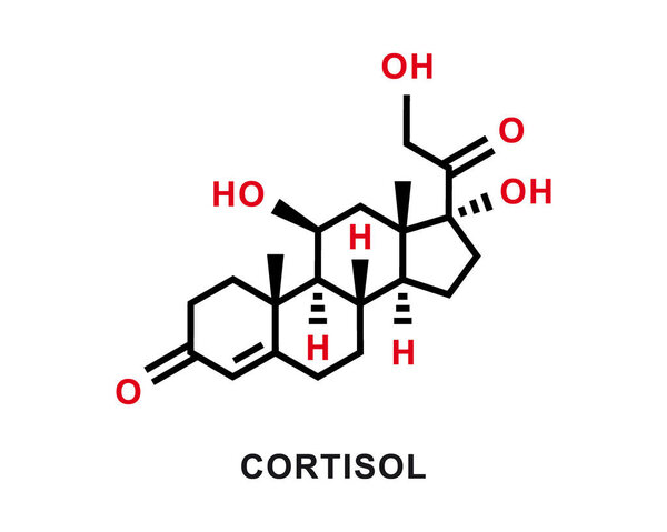 Cortisol chemical formula. Cortisol chemical molecular structure. Vector illustration